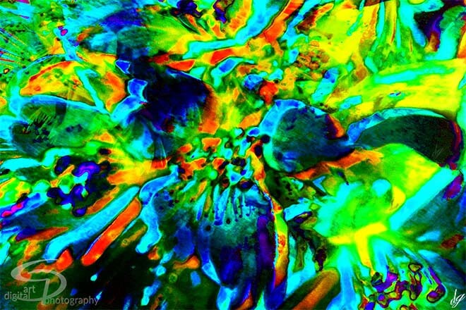 Digital Art: Color explosion - Spring.