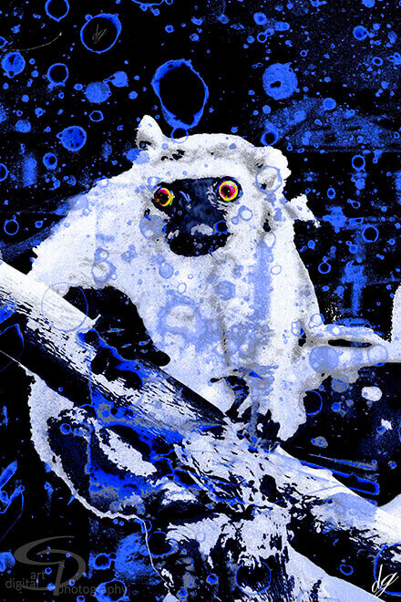 Digital Art: Blue monkey