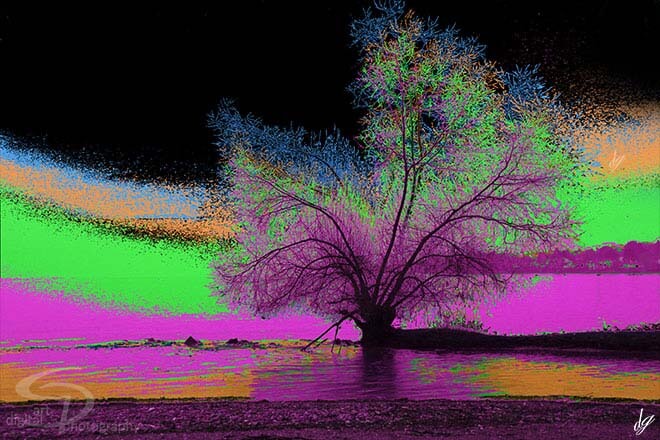 Digital Art: Category Nature