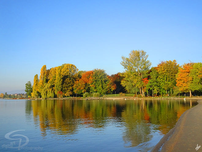 Colorful autumn - Lake Geneva (Switzerland