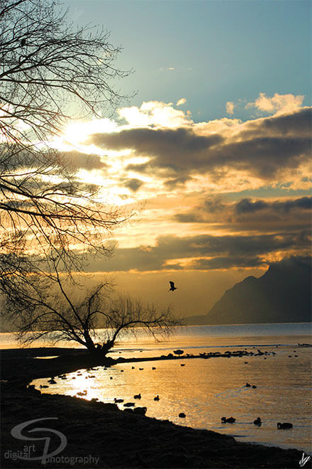 Sunset at Lac Léman (Switzerland). Name of the picture is called Light