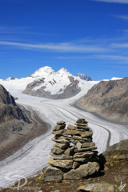 The Great Aletsch Glacier in the Swiss - Canton of Valais