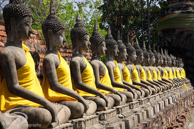 Statues of Buddha in Ayutthaya ancient capital of Thailand.